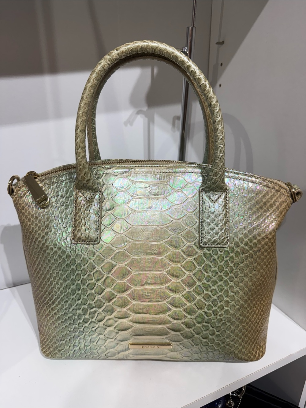 Brahmin Duxbury Iridescent in agree Velosity Python-Embossed Satchel